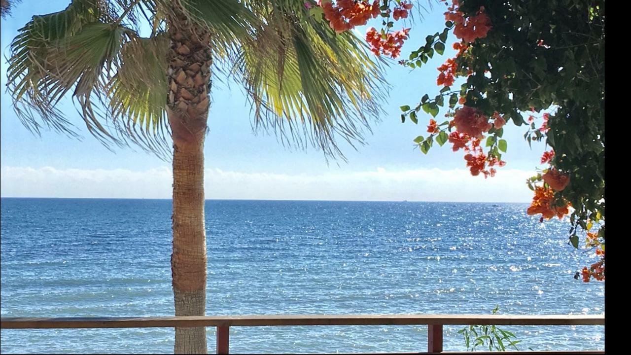 Mi Capricho 170 Beachfront Apartment Sitio de Calahonda Eksteriør bilde